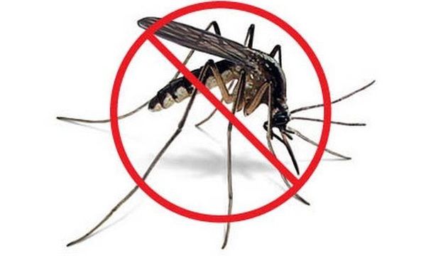 Suzbijanje odraslih oblika komaraca (adulticidna dezinsekcija)